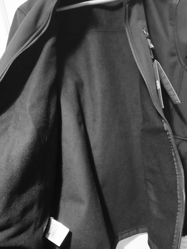 The North Face Siyah Fermuarlı Erkek Mont - Görsel 3