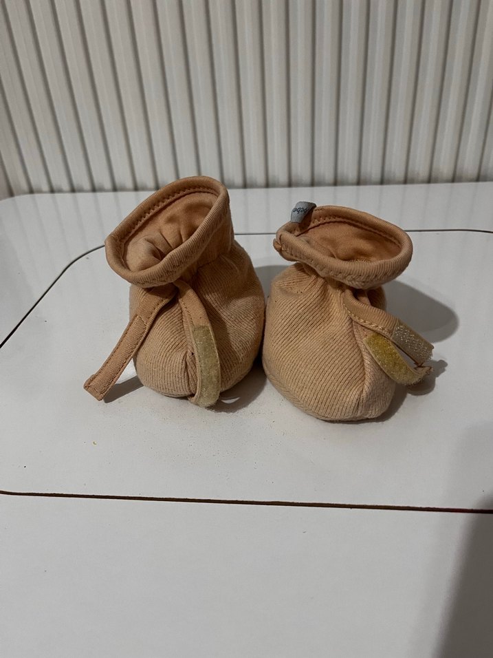 Kiraz çekirdekli patik - Görsel 2