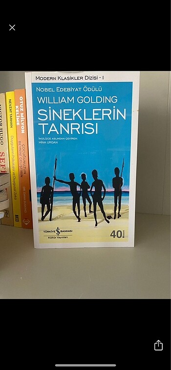 Sineklerin tanrısı