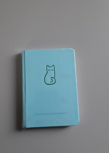 Turkuaz Pastel Kedi Desenli Defter gıpta ajanda