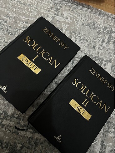Solucan serisi
