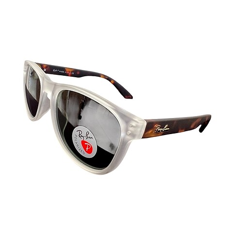 Ray ban erkek Güneş gözlüğü polarize