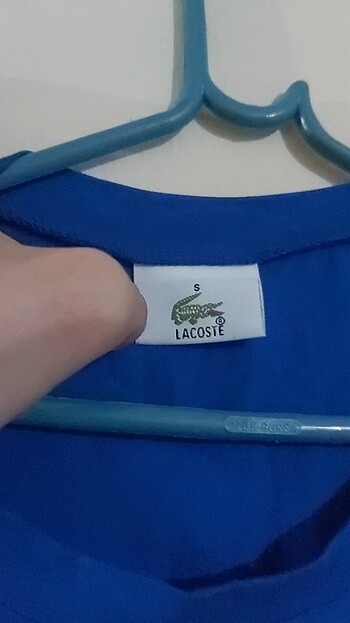 Lacoste Günlük elbise