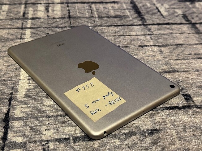 Beden İPad mini 5 2019