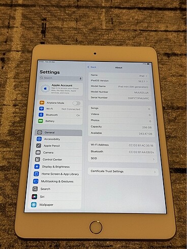 Apple İPad mini 5 2019