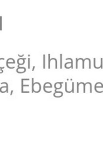 Homm Life Vita Kış Çayı 60 Poşet - Görsel 2