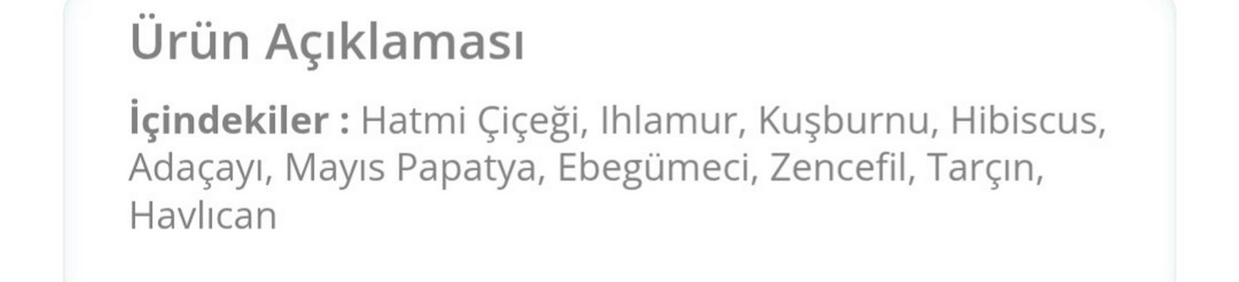 Homm Life Vita Kış Çayı 60 Poşet - Görsel 2