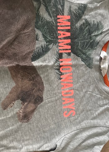 Gri Baskılı Erkek Çocuk Tişört - Görsel 4