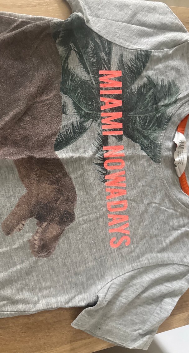 Gri Baskılı Erkek Çocuk Tişört - Görsel 4