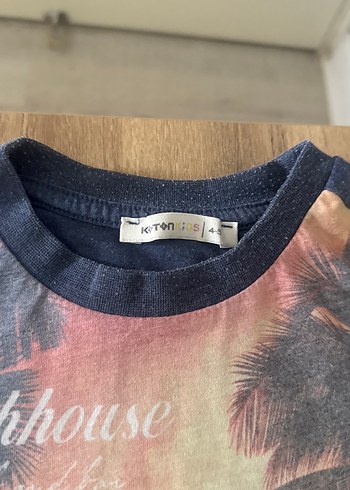 Erkek Baskılı Kısa Kollu Bohem Tişört - Görsel 2