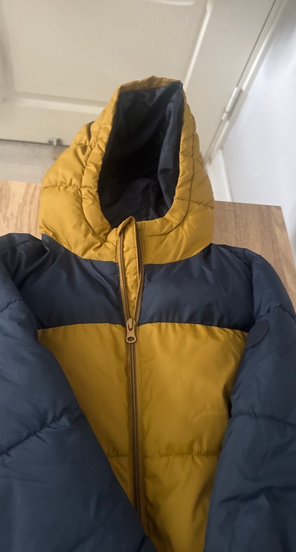 Sarı Lacivert Fermuarlı Erkek Çocuk Mont - Görsel 2