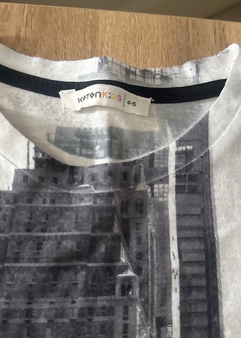 Erkek Gri Baskılı Sokak Stili Tişört - Görsel 3