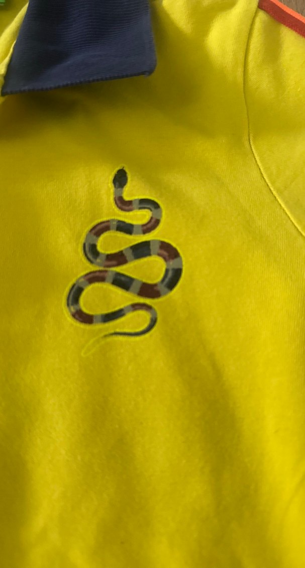 Sarı Düğmeli Kısa Kollu Polo Tişört 146/152 beden - Görsel 4