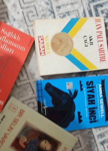 Jean Paul Sartre, Anna Sewell ve Diğer Kitaplar