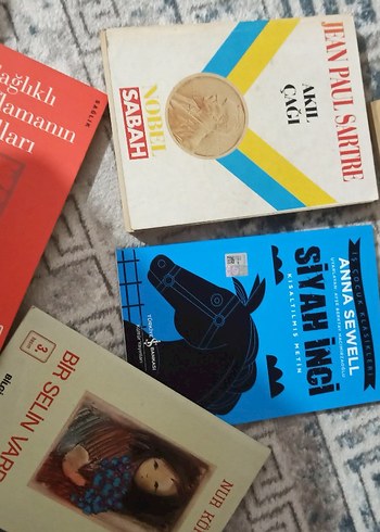 Jean Paul Sartre, Anna Sewell ve Diğer Kitaplar