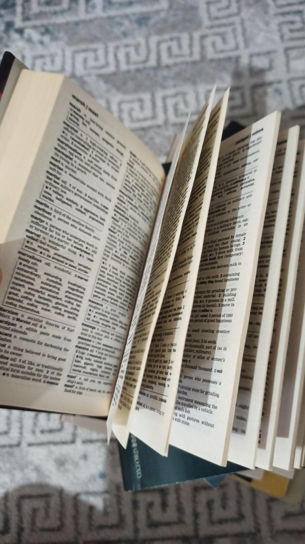 The Little Oxford Sözlük ve Eşanlamlılar Kitabı - Görsel 4