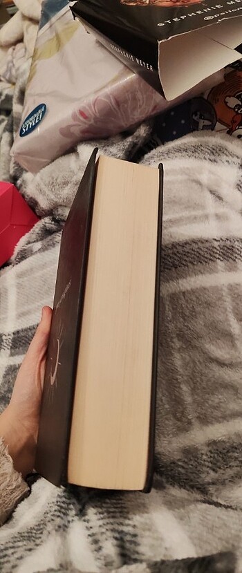  Gece yarısı güneşi kitap stephen mayer 