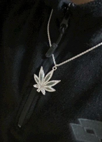 ÇELİK YAPRAK KOLYE FIRSAT - Görsel 2