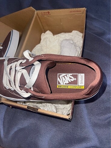 Vans vans canvas root beer