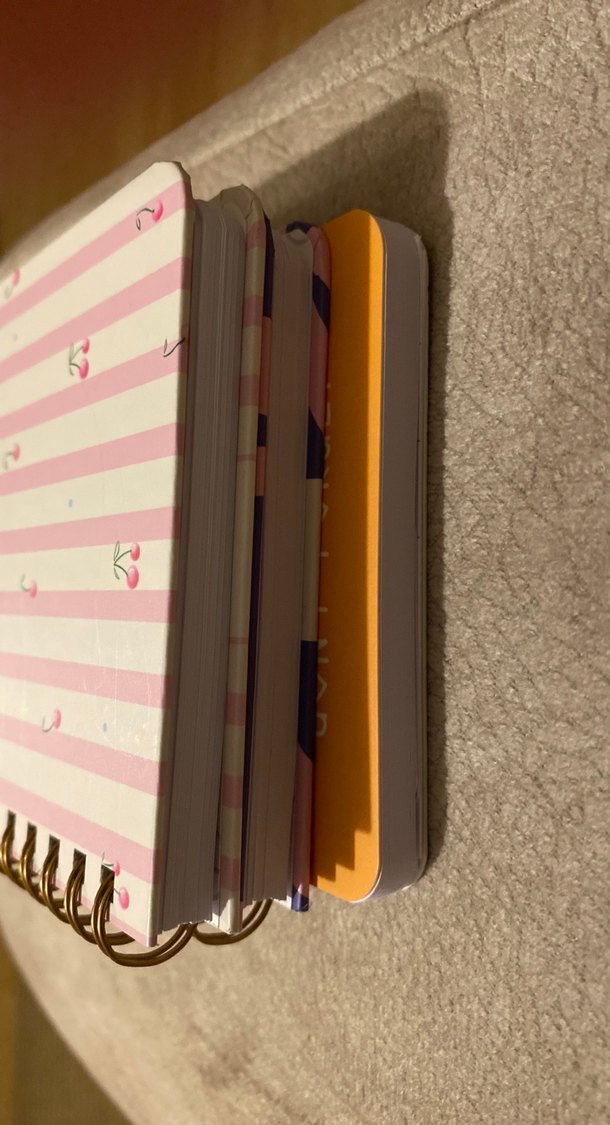 3 adet not defteri - Görsel 5