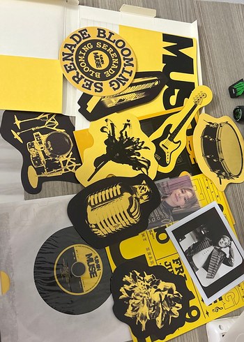 Muse - Sarı Kapaklı Plak Albüm - Görsel 2