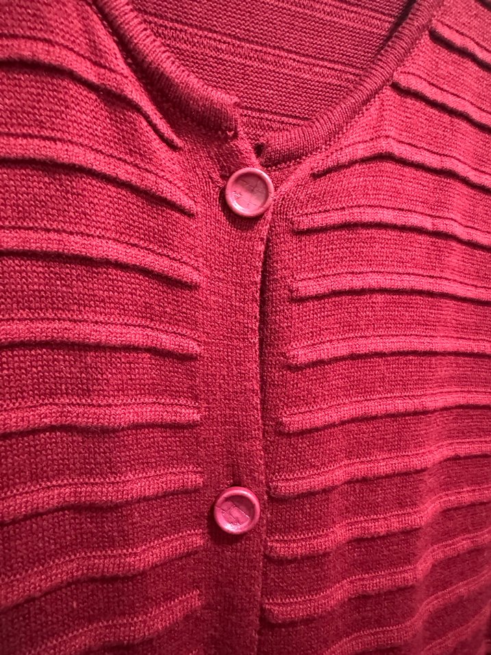 MissWhence yelek - Görsel 4