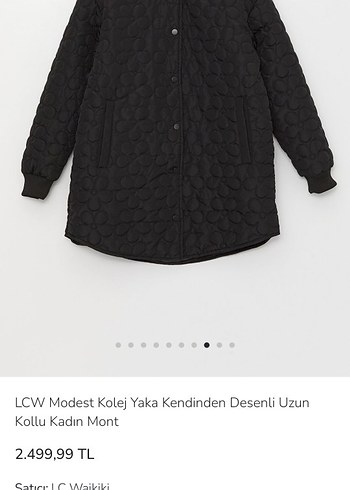 LCW Modest Uzun Kollu Siyah Kadın Mont - Görsel 2