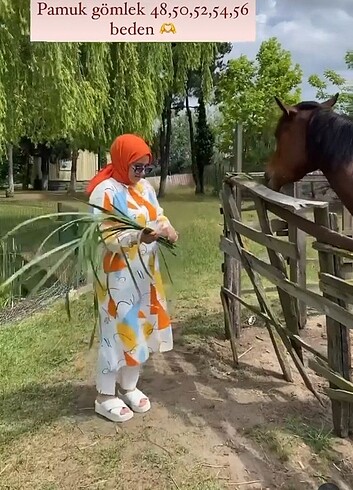 Tunik