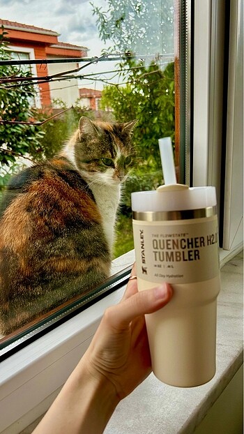 Diğer Stanley Quencher Pipetli Termos Bardak 1.18 Lt
