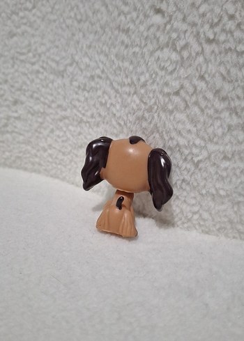 Miniş köpek - Görsel 2