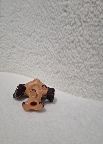 Miniş köpek - Görsel 4