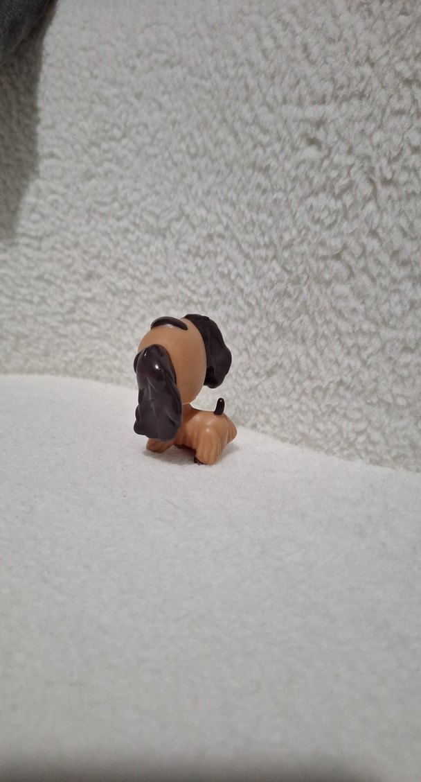 Miniş köpek - Görsel 5