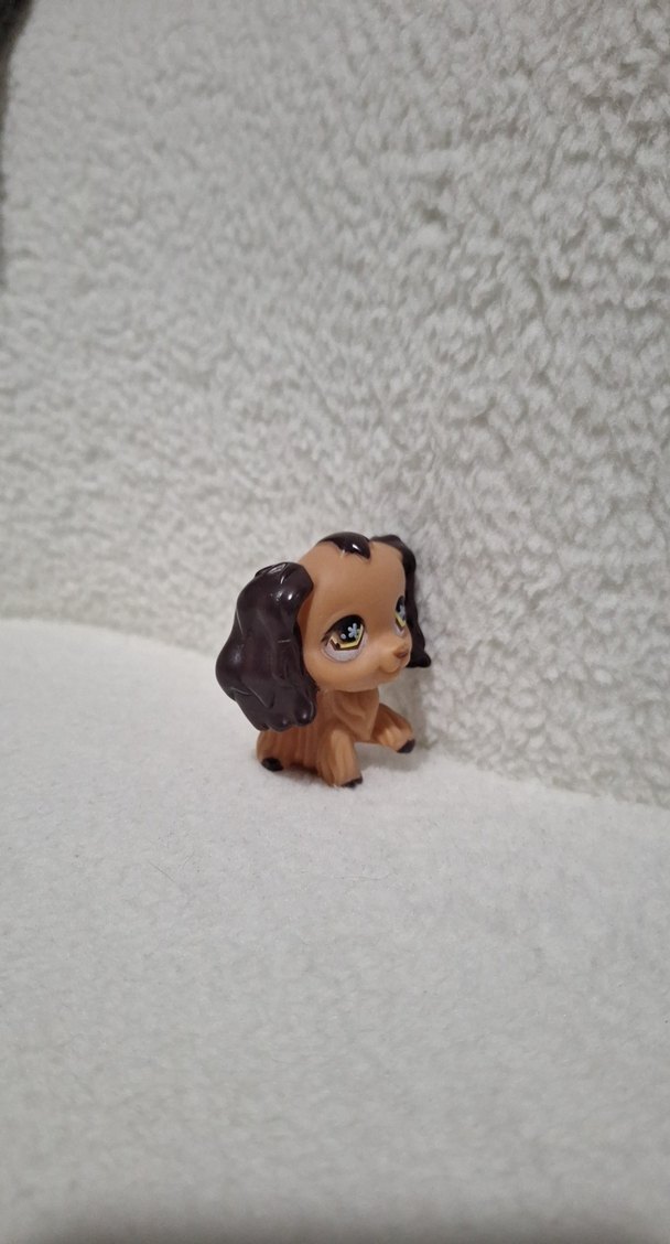 Miniş köpek - Görsel 3