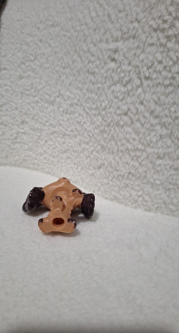 Miniş köpek - Görsel 4