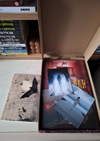 Yaralasar Serisi - Maral Atmaca - Görsel 7