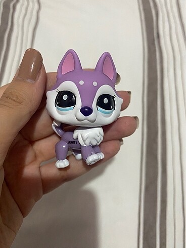 Lps kurt miniş husky