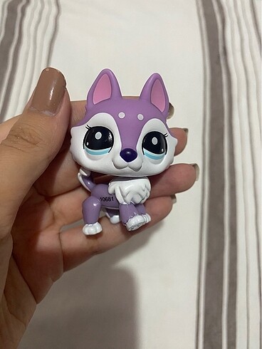  Lps kurt miniş husky