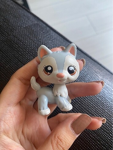  Lps miniş husky