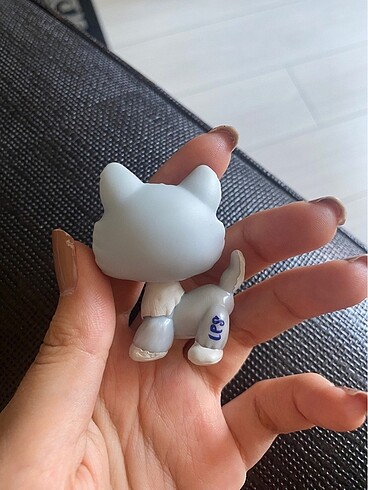  Beden Lps miniş husky