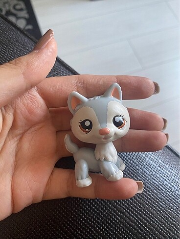  Beden Renk Lps miniş husky