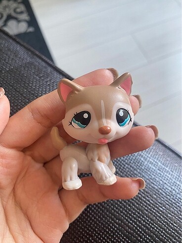 Lps miniş husky