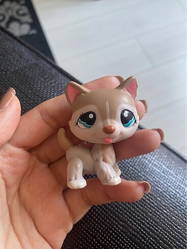  Lps miniş husky