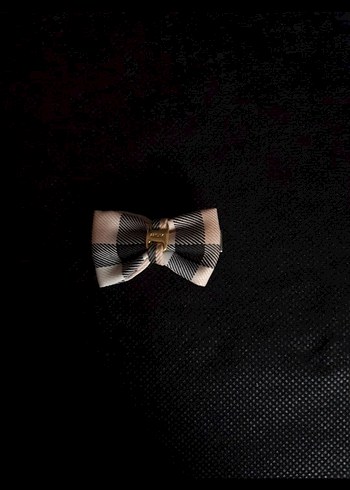 Siyah Parlak Fiyonk Kadın Saç Aksesuarı - Görsel 6