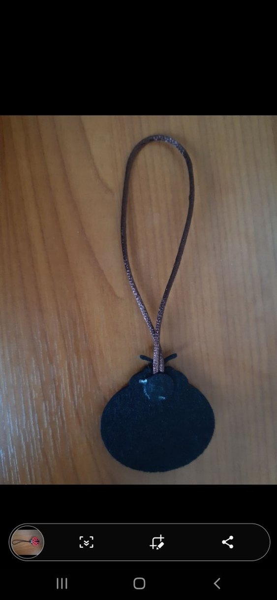 Renkli Keçe Uğur Böceği - Görsel 3