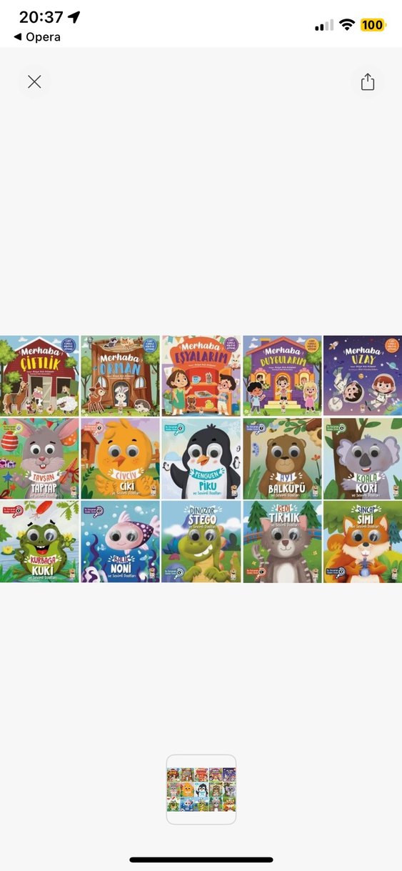 Çocuklar için Hayvan Temalı Kitap Seti - Görsel 2