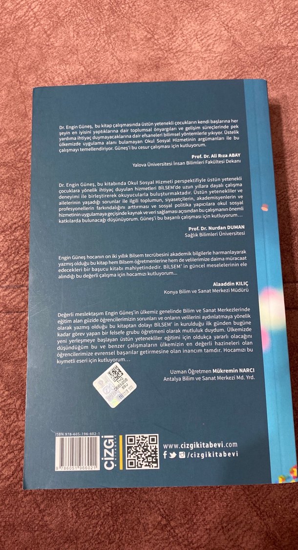 Sosyal Hizmet Perspektifinden Üstün Yetenekliler - Görsel 3