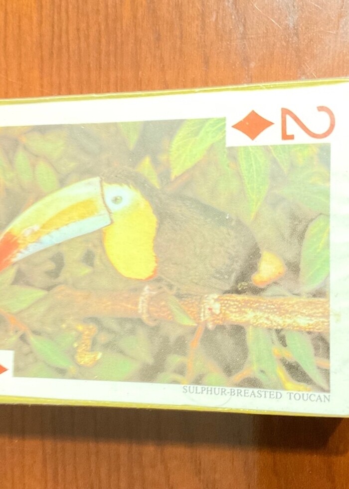 ORJİNAL AMBALAJI AÇILMAMIŞ OYUN KAĞIDI - Görsel 2