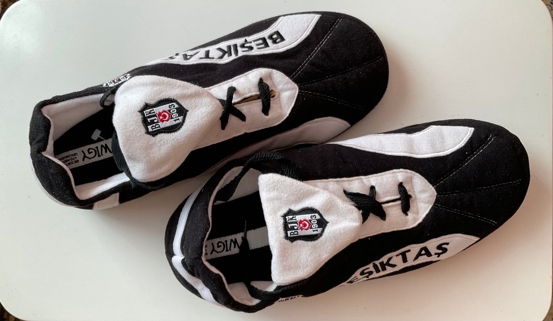 TWIGY ORJİNAL LİSANSLI BEŞKTAŞ EV AYAKKABISI - TERLİK - Görsel 2