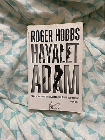 Roger hobbs- hayalet adam