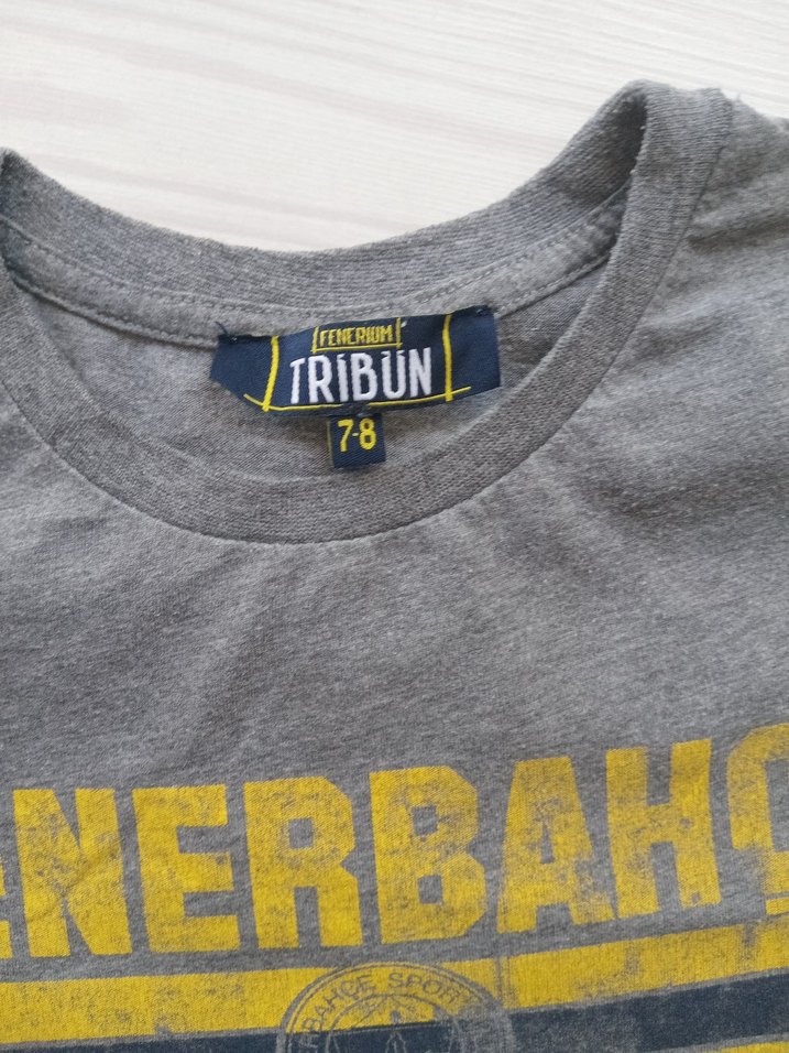 Gri Baskılı Erkek Çocuk şortluTakım ıfeneryum - Görsel 3